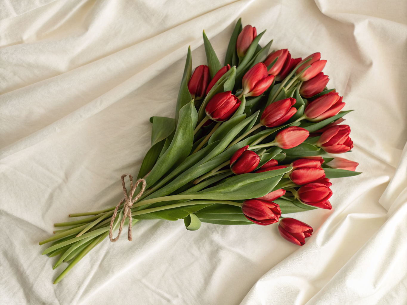 Minimalistischer Tulpenstrauß