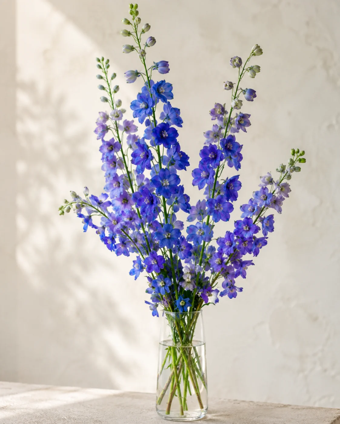 Rittersporn — Hohe Arrangements, Gartensträuße, Farbe