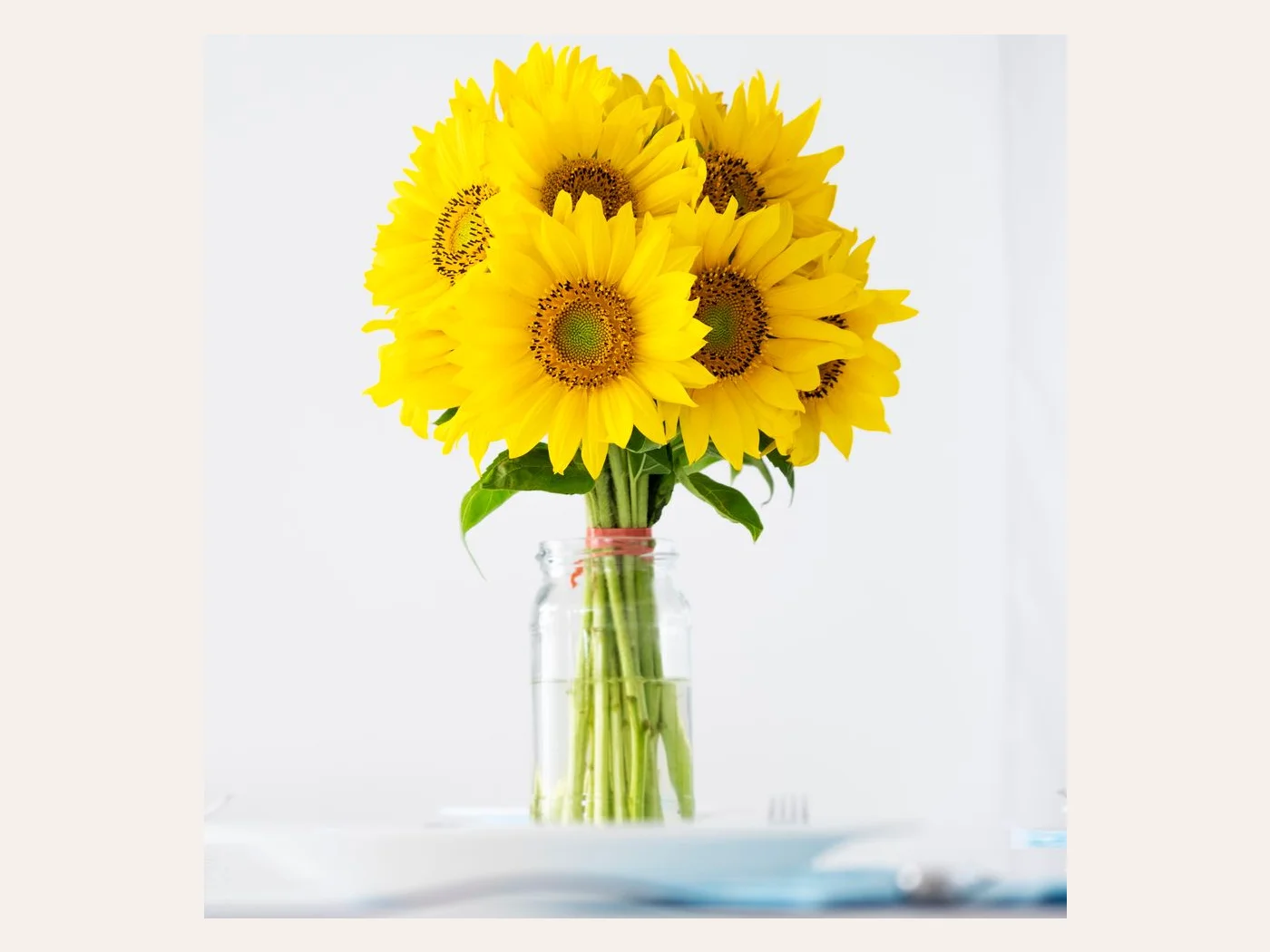 Sonnenblume — Sommersträuße, Blickfang, Dekoration