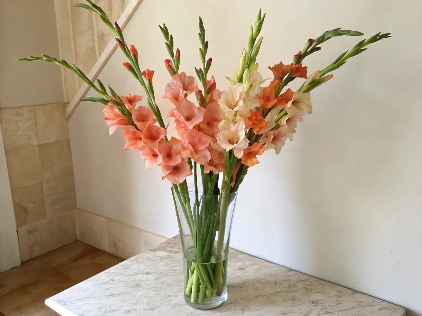 Gladiole — Geburtsblume für August