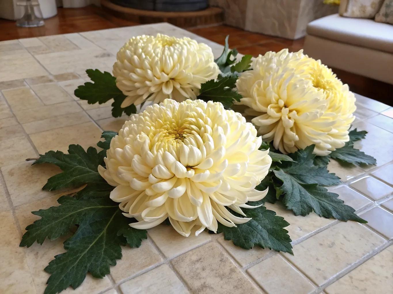 Chrysantheme — Geburtsblume für November